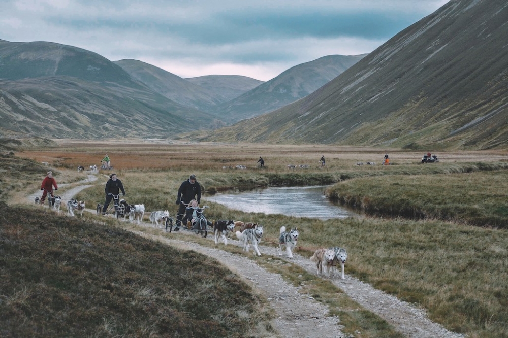 Dog Sledding in Scotland with The Fife Arms and Sandgrouse Travel - Unique Group Travel Experience